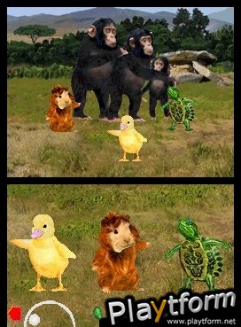The Wonder Pets!: Save the Animals! (DS)