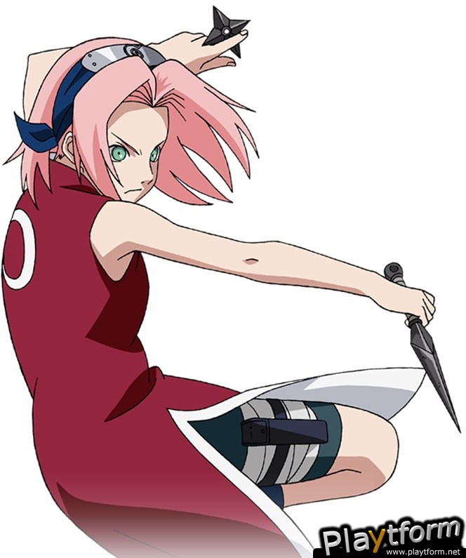 Naruto: Path of the Ninja 2 (DS)