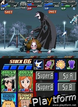 Bleach: Dark Souls (DS)