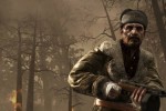 Call of Duty: World at War (PC)