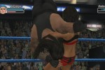 WWE SmackDown vs. Raw 2009 (Wii)