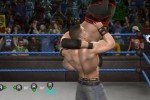 WWE SmackDown vs. Raw 2009 (PlayStation 3)