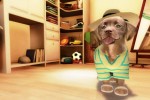 Petz Sports: Dog Playground (Wii)