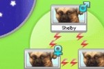 Petz Dogz Pack (DS)