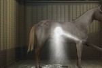 My Horse & Me 2: Riding for Gold (Xbox 360)