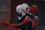 Spider-Man: Web of Shadows (PC)