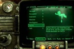 Fallout 3 (PC)