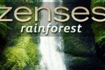 Zenses Rainforest (DS)