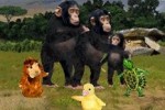The Wonder Pets!: Save the Animals! (DS)