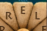 Pyrus (iPhone/iPod)