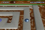 The Incredible Maze (Wii)