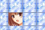 Ah..Moemory (iPhone/iPod)