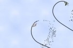Line Rider 2: Unbound (Wii)