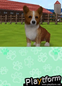 Animal Paradise (DS)