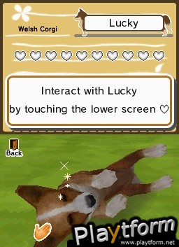 Animal Paradise (DS)