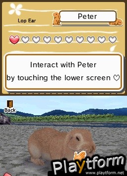 Animal Paradise (DS)