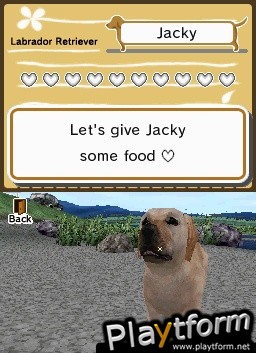 Animal Paradise (DS)