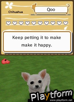 Animal Paradise (DS)