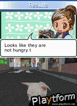Animal Paradise (DS)