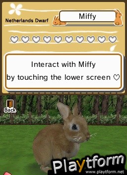 Animal Paradise (DS)