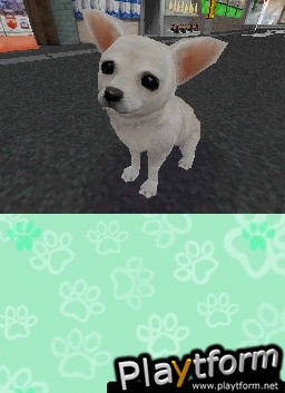 Animal Paradise (DS)