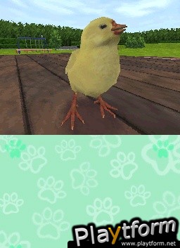 Animal Paradise (DS)