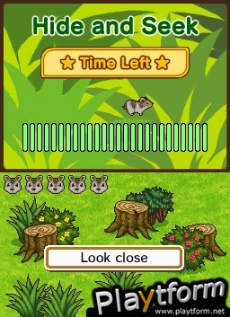 Animal Paradise (DS)