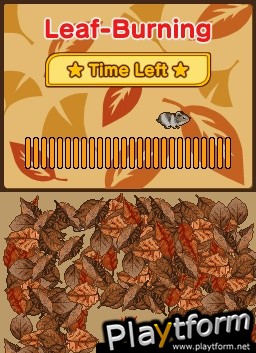 Animal Paradise (DS)