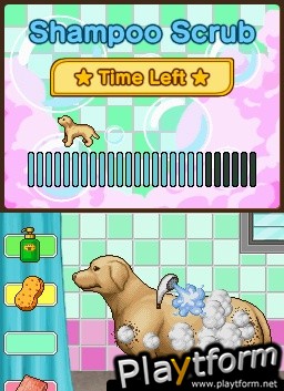 Animal Paradise (DS)