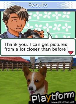 Animal Paradise (DS)