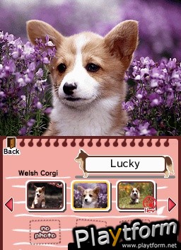 Animal Paradise (DS)