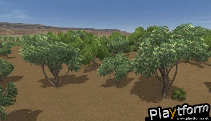 ProTee Play 2009 (PC)