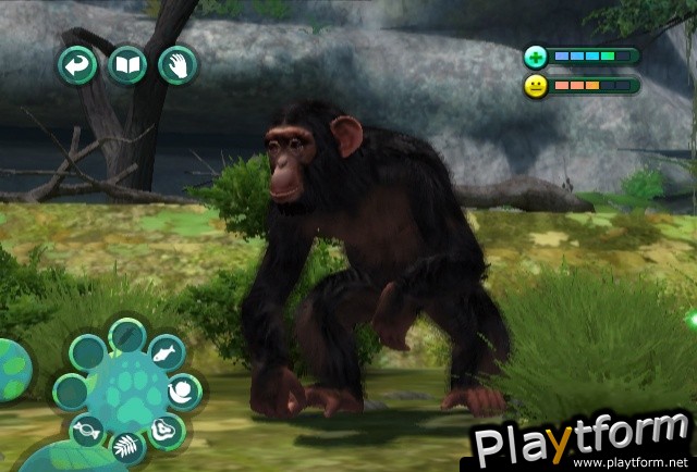 Zoo Hospital (Wii)