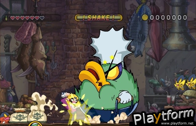 Wario Land: Shake It! (Wii)