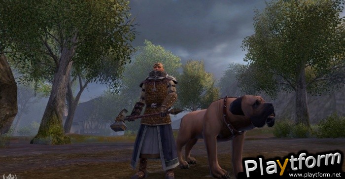 Warhammer Online: Age of Reckoning (PC)