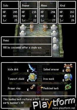Dragon Quest IV: Chapters of the Chosen (DS)