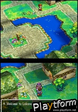 Dragon Quest IV: Chapters of the Chosen (DS)