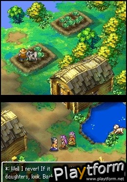 Dragon Quest IV: Chapters of the Chosen (DS)