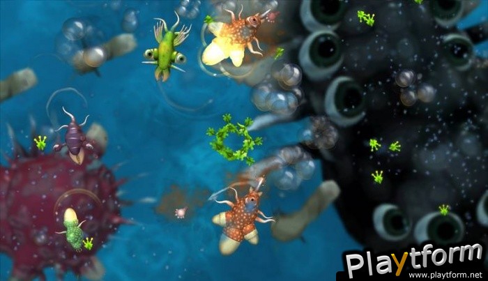 Spore (Macintosh)