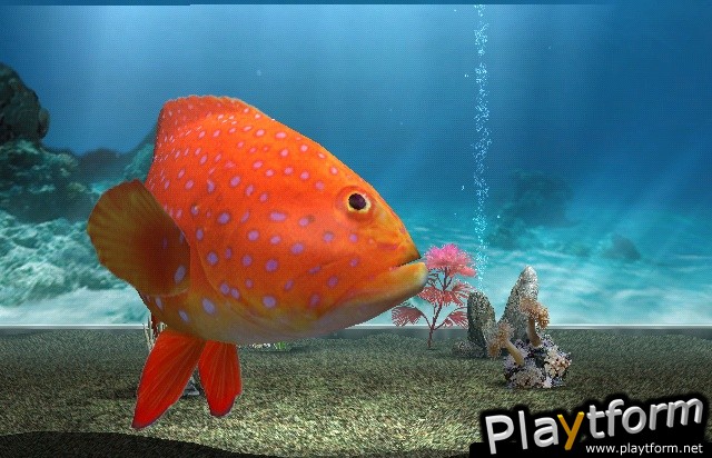 My Aquarium (Wii)