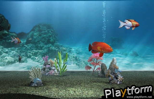 My Aquarium (Wii)