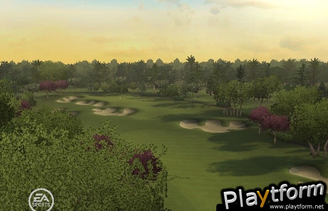 Tiger Woods PGA Tour 09 All-Play (Wii)