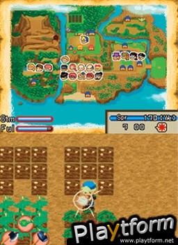 Harvest Moon DS: Island of Happiness (DS)