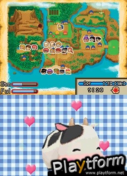 Harvest Moon DS: Island of Happiness (DS)