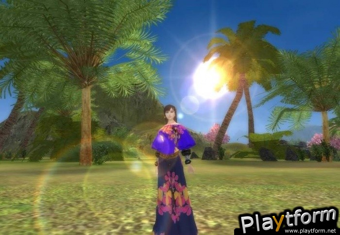 Perfect World International (PC)