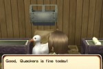 Harvest Moon: Tree of Tranquility (Wii)