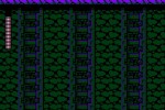 Mega Man 9 (Wii)