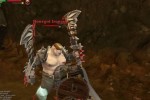 Warhammer Online: Age of Reckoning (PC)