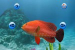 My Aquarium (Wii)