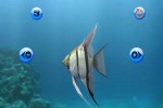 My Aquarium (Wii)